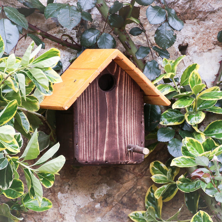 Casetta Cincia Treehood - prodotto artigianale in legno