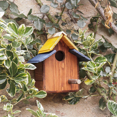 Casetta Passeri - anteprima home Treehood
