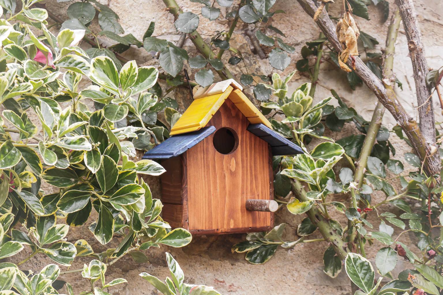 Casetta Passeri Treehood - immagine galleria 1