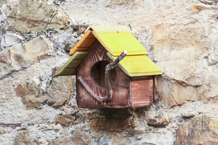 Casetta Pettirossi Treehood - foto aggiuntiva 6
