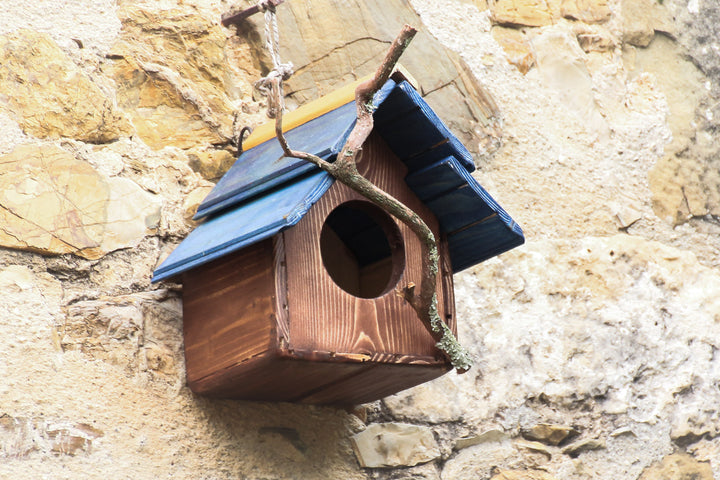 Casetta Pettirossi Treehood - foto aggiuntiva 5