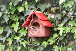 Casetta Pettirossi Treehood - immagine galleria 2
