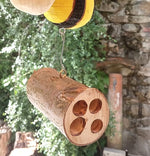 Ape nido per osmie Treehood - immagine galleria 2