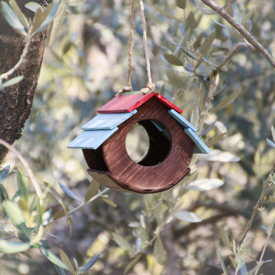 Mangiatoia Botticella - anteprima home Treehood