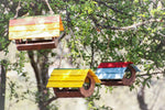 Mangiatoia Botticella Treehood - immagine galleria 4