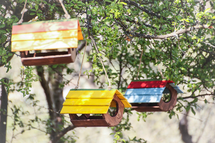 Mangiatoia Botticella Treehood - foto aggiuntiva 4