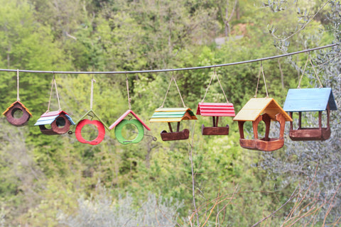 Casette e mangiatoie Treehood appese in campagna